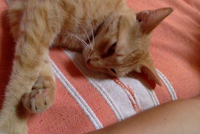 Photo on 08-05-2014 at 16.25 #2