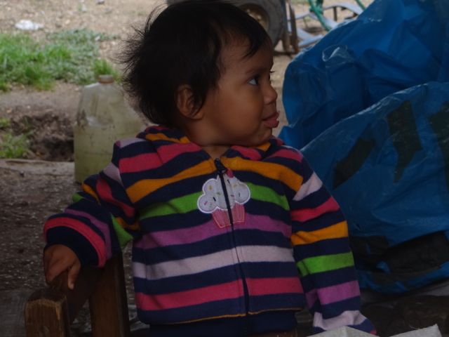 DSC01060